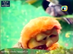 کارتون السون و ولسون- قسمت پانزدهم